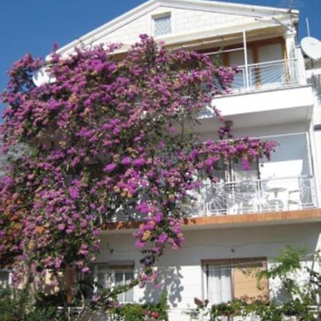 Apartman Graciela Perfect Location Gradac Градац Екстериор снимка