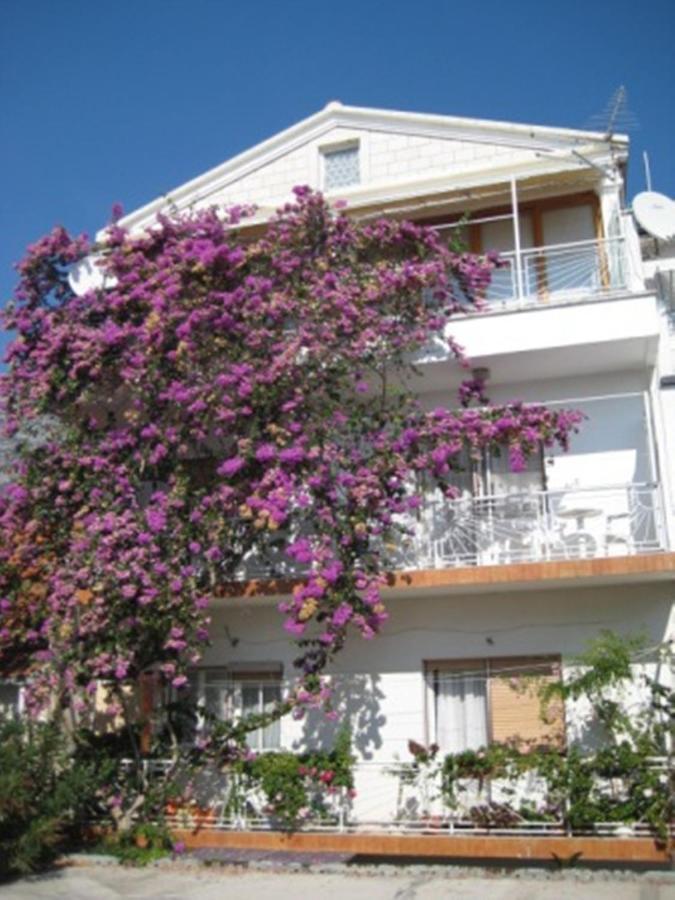 Apartman Graciela Perfect Location Gradac Градац Екстериор снимка