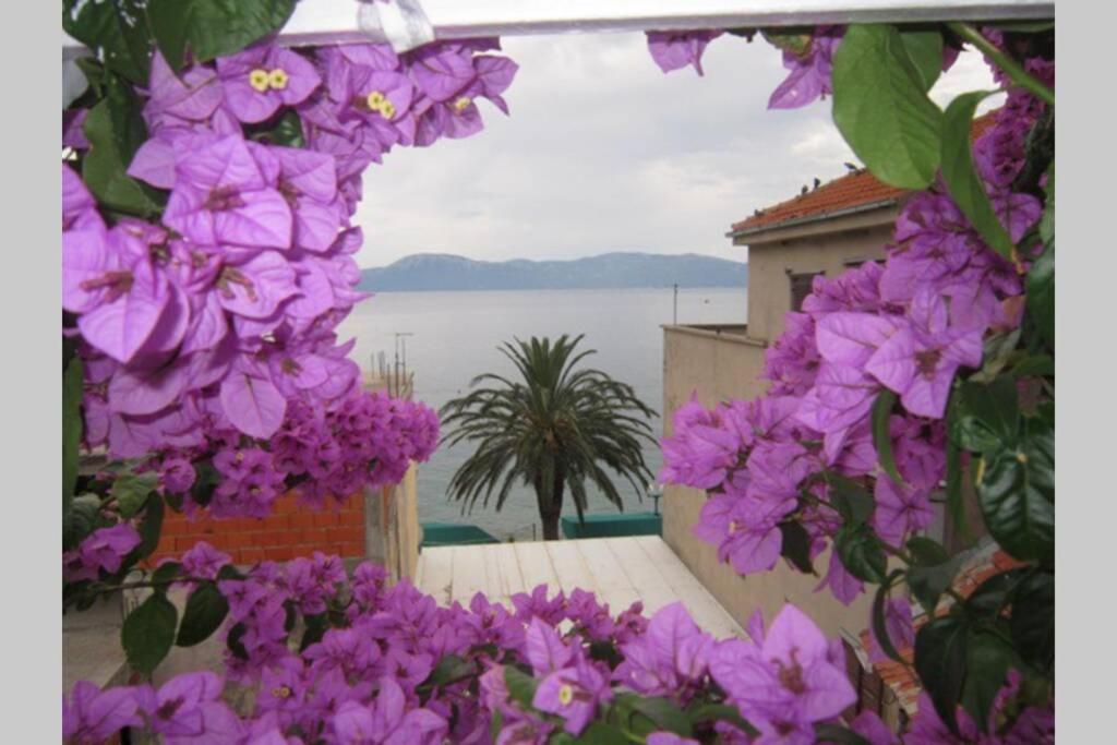 Apartman Graciela Perfect Location Gradac Градац Екстериор снимка