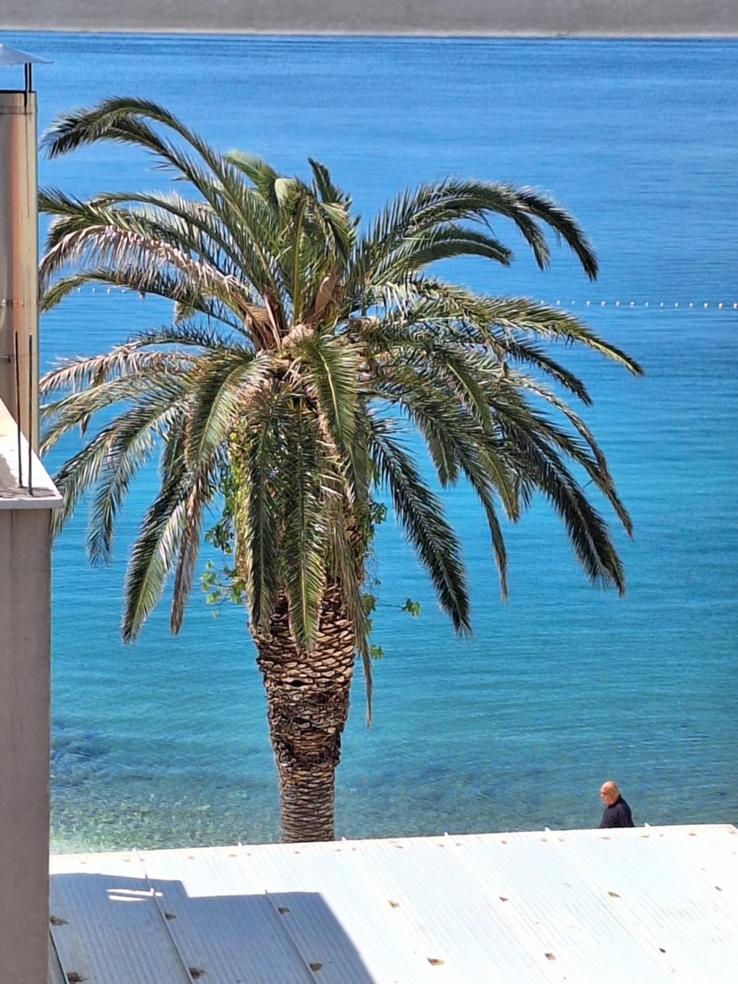 Apartman Graciela Perfect Location Gradac Градац Екстериор снимка